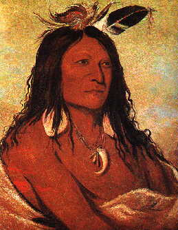 the comanche tribe