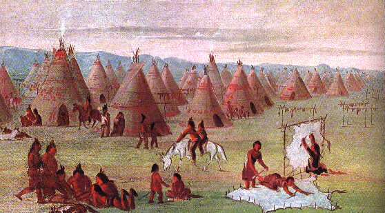 how did the comanche tribe adapt to their environment